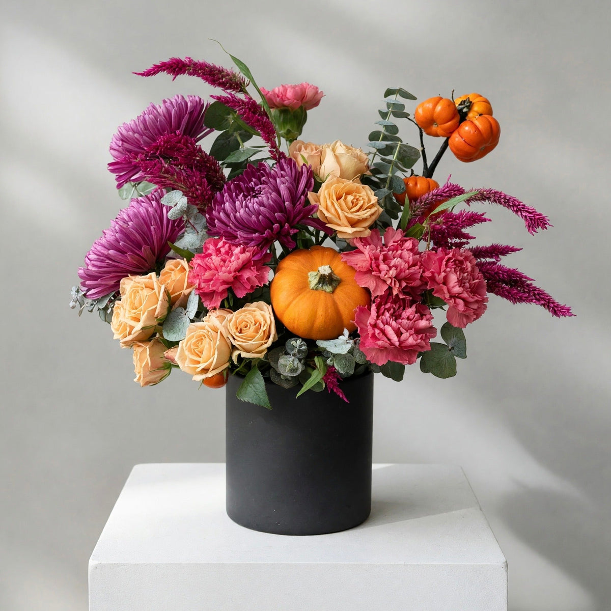 Plum & Pumpkin